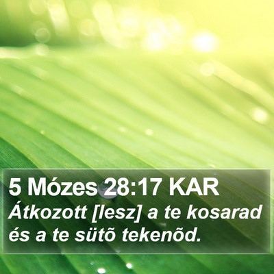 5 Mózes 28:17 KAR Bible Verse Image