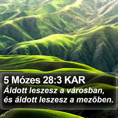 5 Mózes 28:3 KAR Bible Verse Image