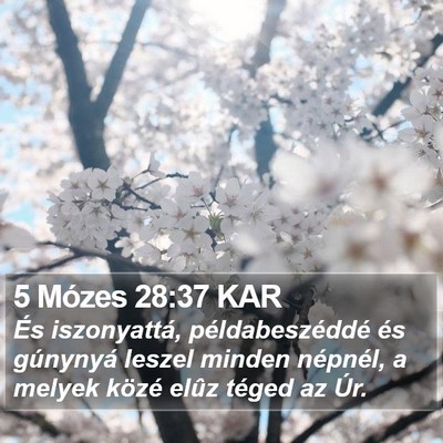 5 Mózes 28:37 KAR Bible Verse Image