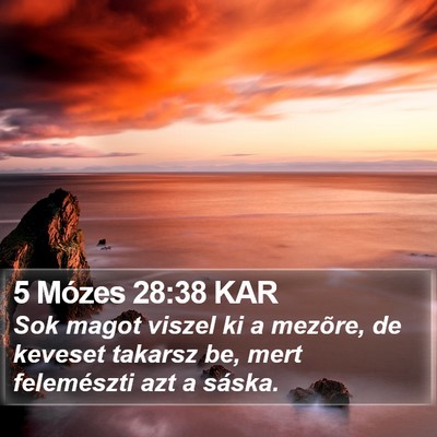 5 Mózes 28:38 KAR Bible Verse Image