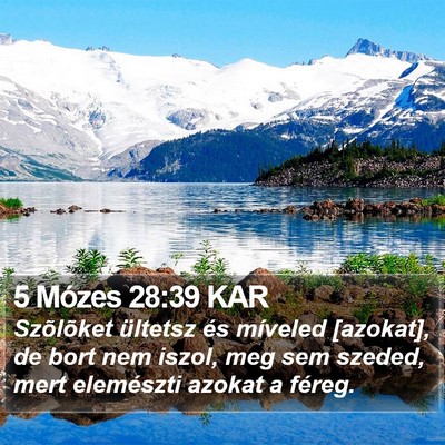 5 Mózes 28:39 KAR Bible Verse Image