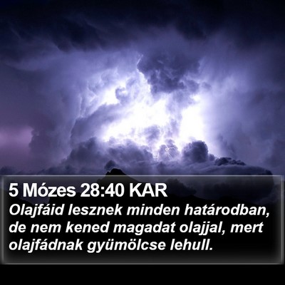 5 Mózes 28:40 KAR Bible Verse Image