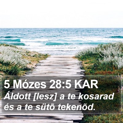 5 Mózes 28:5 KAR Bible Verse Image
