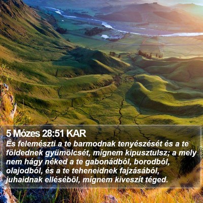 5 Mózes 28:51 KAR Bible Verse Image