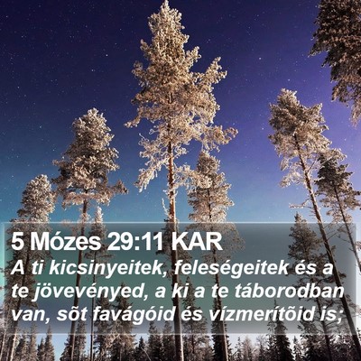 5 Mózes 29:11 KAR Bible Verse Image