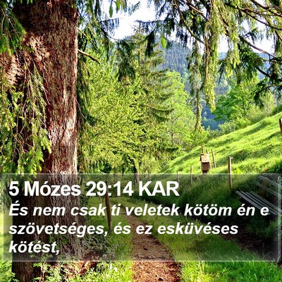 5 Mózes 29:14 KAR Bible Verse Image