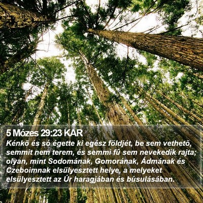 5 Mózes 29:23 KAR Bible Verse Image