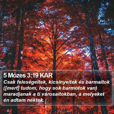 5 Mózes 3:19 KAR Bible Verse Image