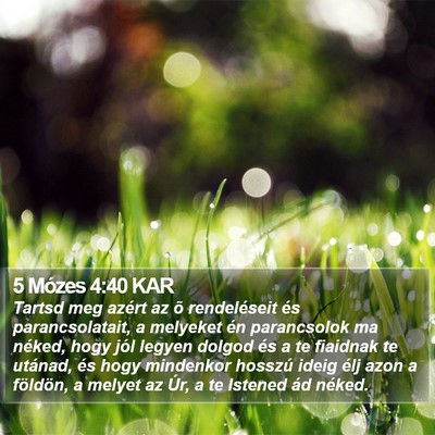 5 Mózes 4:40 KAR Bible Verse Image