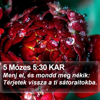 5 Mózes 5:30 KAR Bible Verse Image