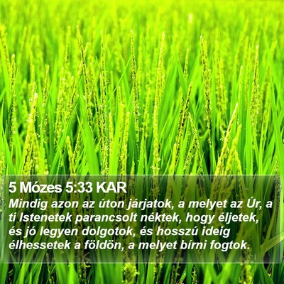 5 Mózes 5:33 KAR Bible Verse Image