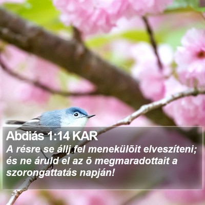 Abdiás 1:14 KAR Bible Verse Image