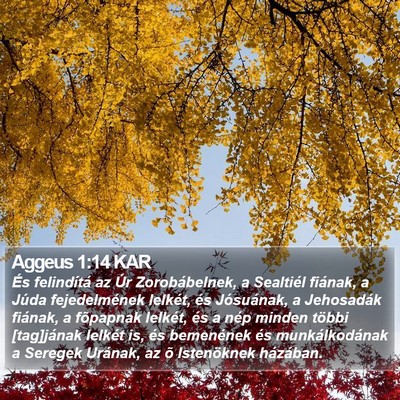 Aggeus 1:14 KAR Bible Verse Image