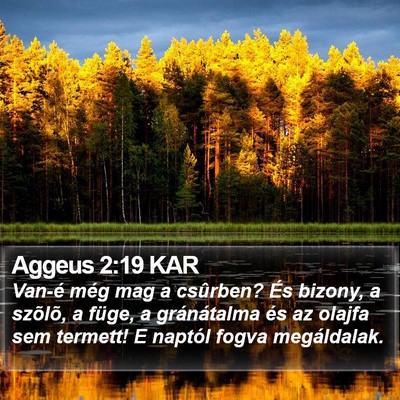Aggeus 2:19 KAR Bible Verse Image