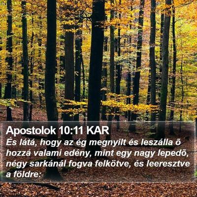 Apostolok 10:11 KAR Bible Verse Image