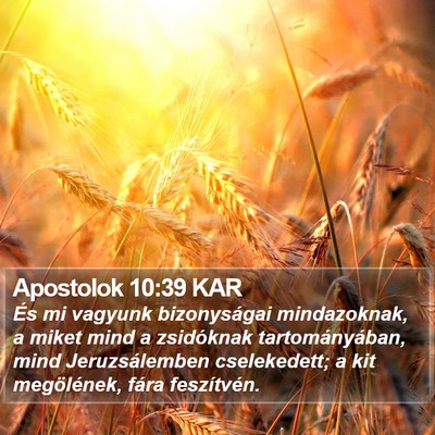 Apostolok 10:39 KAR Bible Verse Image
