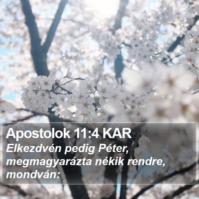 Apostolok 11:4 KAR Bible Verse Image