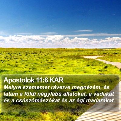Apostolok 11:6 KAR Bible Verse Image