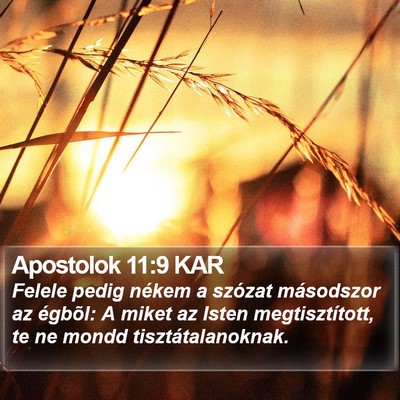 Apostolok 11:9 KAR Bible Verse Image