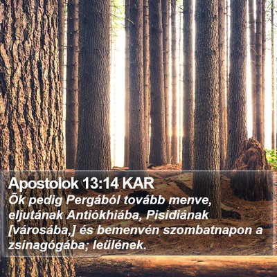 Apostolok 13:14 KAR Bible Verse Image