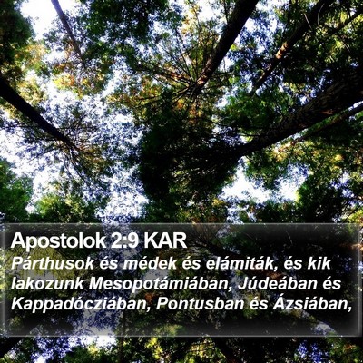 Apostolok 2:9 KAR Bible Verse Image