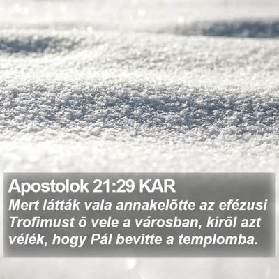 Apostolok 21:29 KAR Bible Verse Image