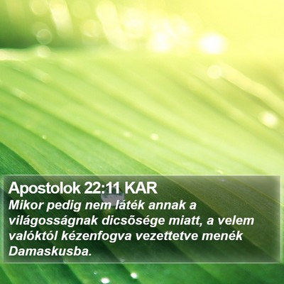 Apostolok 22:11 KAR Bible Verse Image