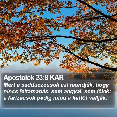 Apostolok 23:8 KAR Bible Verse Image