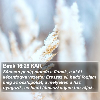 Bírák 16:26 KAR Bible Verse Image