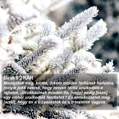 Bírák 9:2 KAR Bible Verse Image