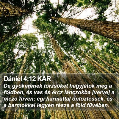Dániel 4:12 KAR Bible Verse Image
