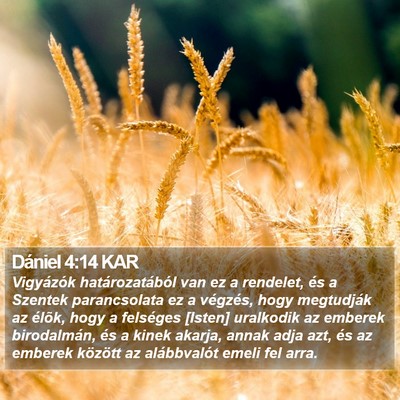 Dániel 4:14 KAR Bible Verse Image