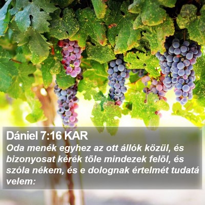 Dániel 7:16 KAR Bible Verse Image