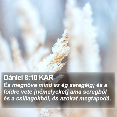 Dániel 8:10 KAR Bible Verse Image