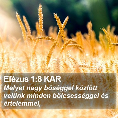 Efézus 1:8 KAR Bible Verse Image