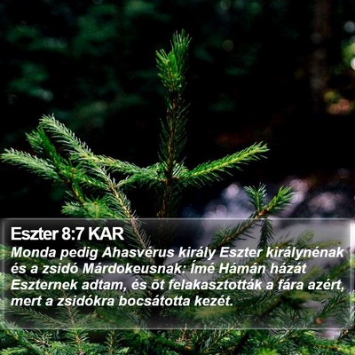 Eszter 8:7 KAR Bible Verse Image