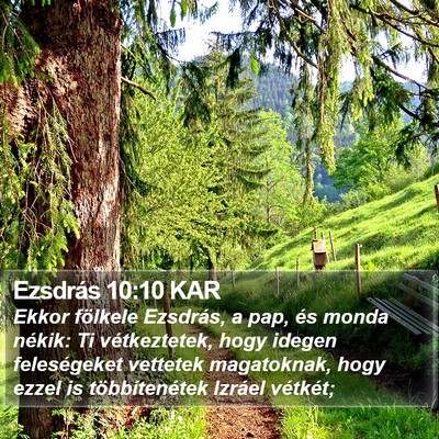 Ezsdrás 10:10 KAR Bible Verse Image