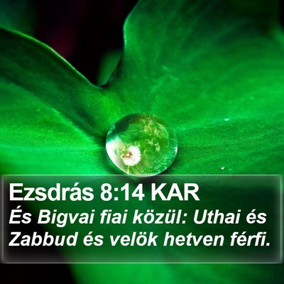 Ezsdrás 8:14 KAR Bible Verse Image