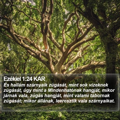 Ezékiel 1:24 KAR Bible Verse Image
