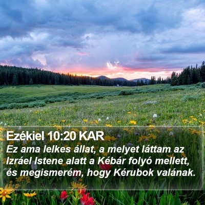 Ezékiel 10:20 KAR Bible Verse Image