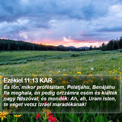 Ezékiel 11:13 KAR Bible Verse Image