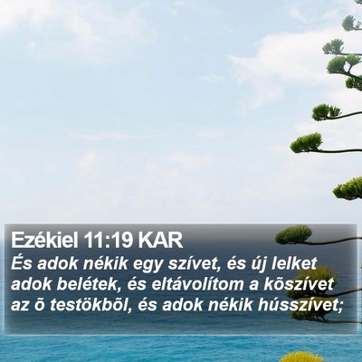 Ezékiel 11:19 KAR Bible Verse Image