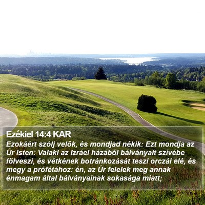 Ezékiel 14:4 KAR Bible Verse Image