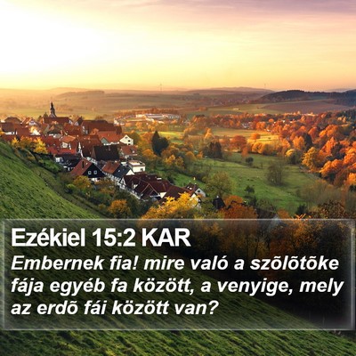 Ezékiel 15:2 KAR Bible Verse Image