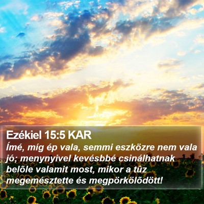 Ezékiel 15:5 KAR Bible Verse Image