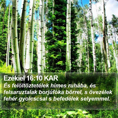 Ezékiel 16:10 KAR Bible Verse Image