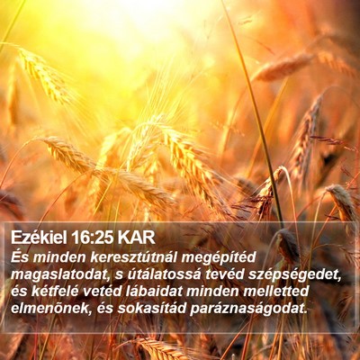 Ezékiel 16:25 KAR Bible Verse Image