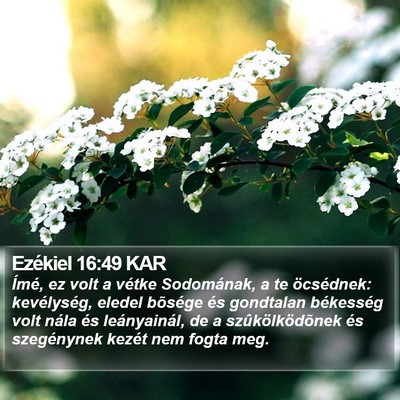 Ezékiel 16:49 KAR Bible Verse Image