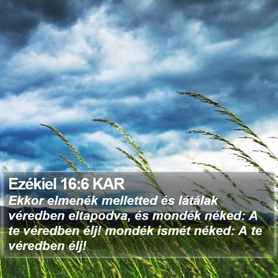 Ezékiel 16:6 KAR Bible Verse Image
