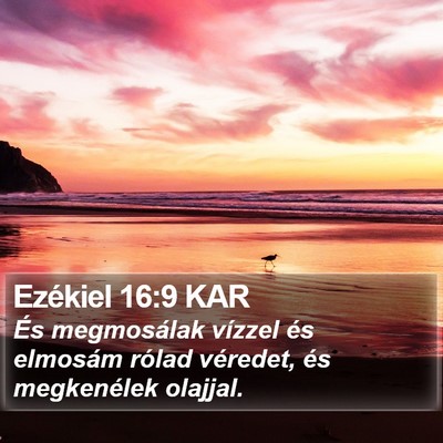 Ezékiel 16:9 KAR Bible Verse Image